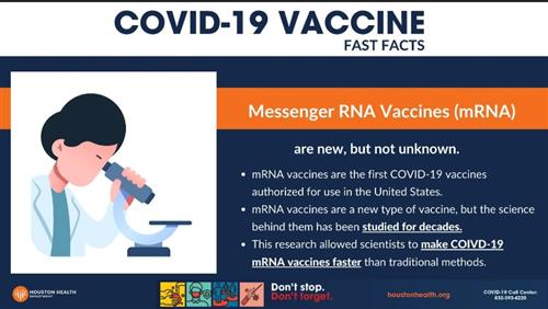 vaccine facts 